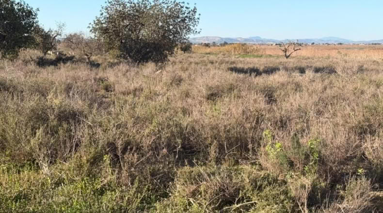 Asturias - La Marina - 25000m2