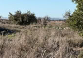 Sòl urbà en venda a la España, La Marina, ref.: TR388030 foto