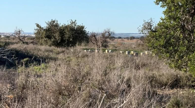 Asturias - La Marina - 25000m2