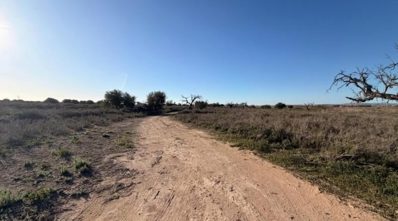 Asturias - La Marina - 25000m2