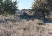 Sòl urbà en venda a la España, La Marina, ref.: TR388030 foto