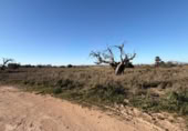 Sòl urbà en venda a la España, La Marina, ref.: TR388030 foto