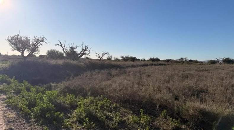 Asturias - La Marina - 25000m2