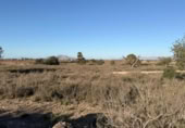 Sòl urbà en venda a la España, La Marina, ref.: TR388030 foto
