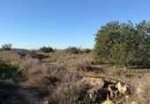 Sòl urbà en venda a la España, La Marina, ref.: TR388030 foto