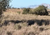 Sòl urbà en venda a la España, La Marina, ref.: TR388030 foto