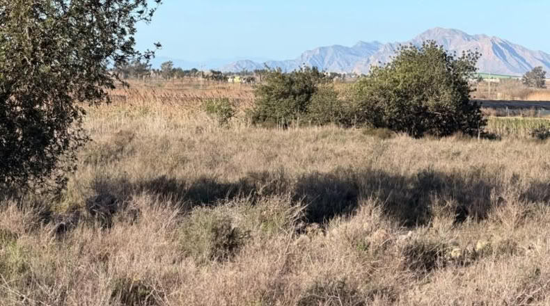 Asturias - La Marina - 25000m2