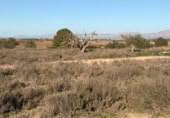 Sòl urbà en venda a la España, La Marina, ref.: TR388030 foto