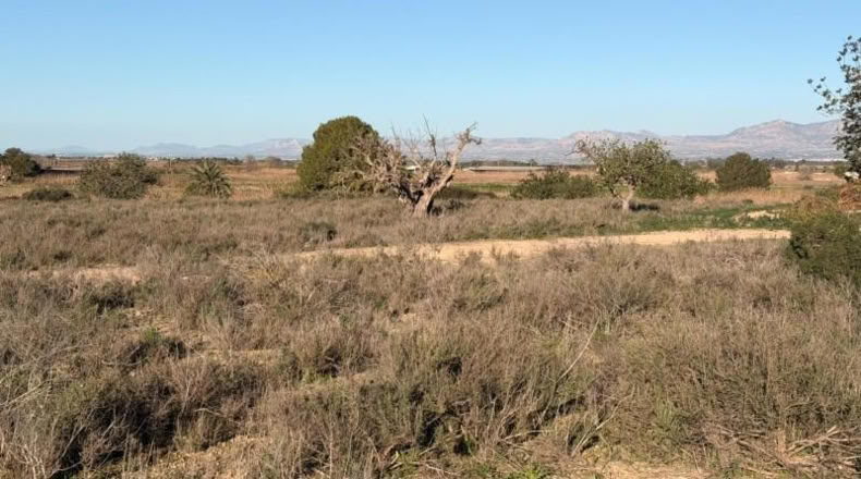 Asturias - La Marina - 25000m2