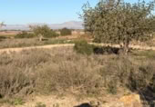 Sòl urbà en venda a la España, La Marina, ref.: TR388030 foto