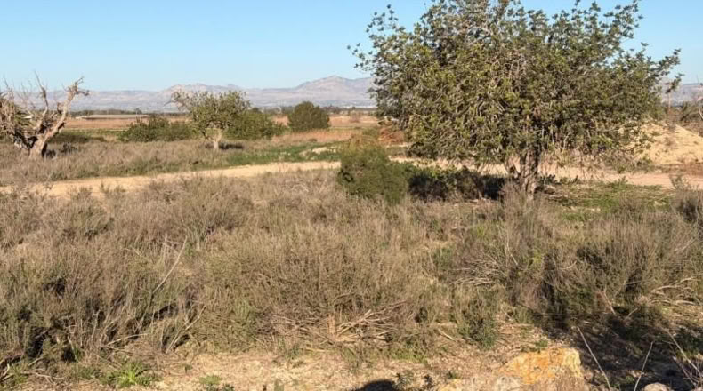 Asturias - La Marina - 25000m2