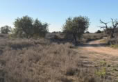 Sòl urbà en venda a la España, La Marina, ref.: TR388030 foto