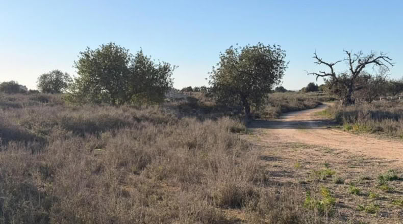 Asturias - La Marina - 25000m2