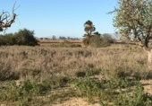 Sòl urbà en venda a la España, La Marina, ref.: TR388030 foto