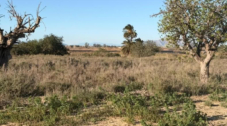 Asturias - La Marina - 25000m2