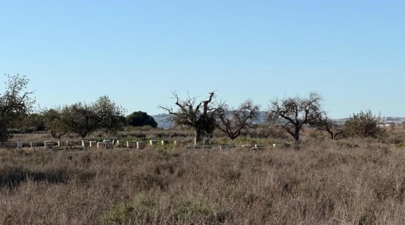 Asturias - La Marina - 25000m2
