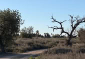 Sòl urbà en venda a la España, La Marina, ref.: TR388030 foto