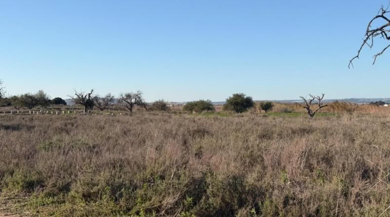 Asturias - La Marina - 25000m2