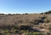 Sòl urbà en venda a la España, La Marina, ref.: TR388030 foto
