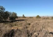 Sòl urbà en venda a la España, La Marina, ref.: TR388030 foto