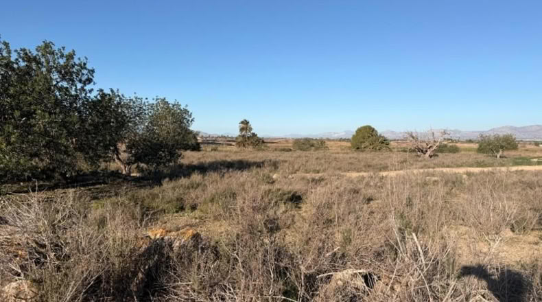 Asturias - La Marina - 25000m2