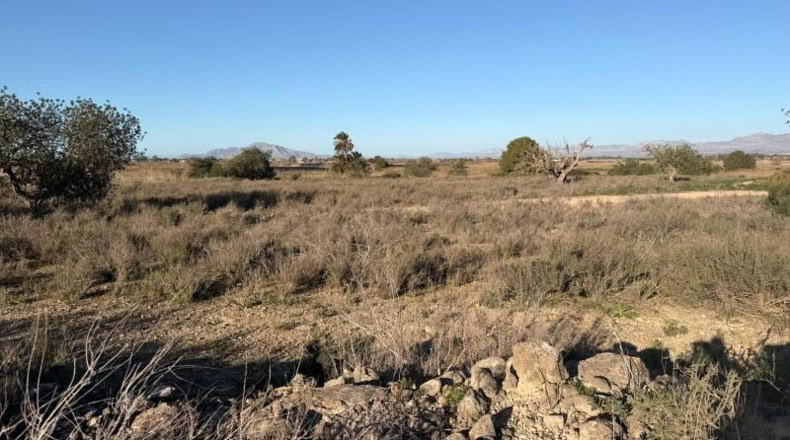 Asturias - La Marina - 25000m2