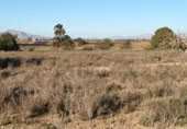 Sòl urbà en venda a la España, La Marina, ref.: TR388030 foto