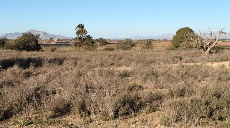 Asturias - La Marina - 25000m2
