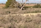 Sòl urbà en venda a la España, La Marina, ref.: TR388030 foto