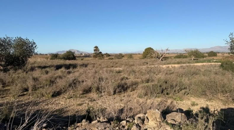 Asturias - La Marina - 25000m2