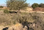 Sòl urbà en venda a la España, La Marina, ref.: TR388030 foto