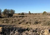 Sòl urbà en venda a la España, La Marina, ref.: TR388030 foto