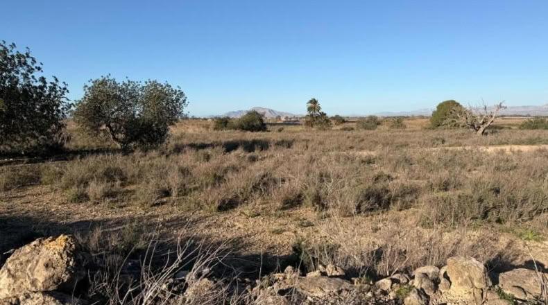 Asturias - La Marina - 25000m2