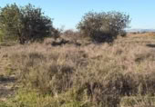 Sòl urbà en venda a la España, La Marina, ref.: TR388030 foto