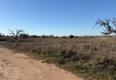 Sòl urbà en venda a la España, La Marina, ref.: TR388030 foto