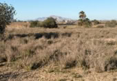 Sòl urbà en venda a la España, La Marina, ref.: TR388030 foto