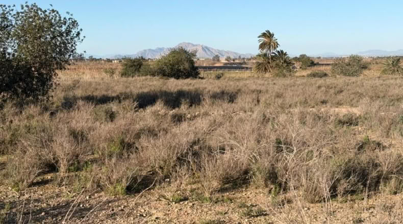 Asturias - La Marina - 25000m2