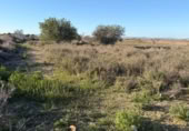 Sòl urbà en venda a la España, La Marina, ref.: TR388030 foto