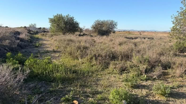 Asturias - La Marina - 25000m2