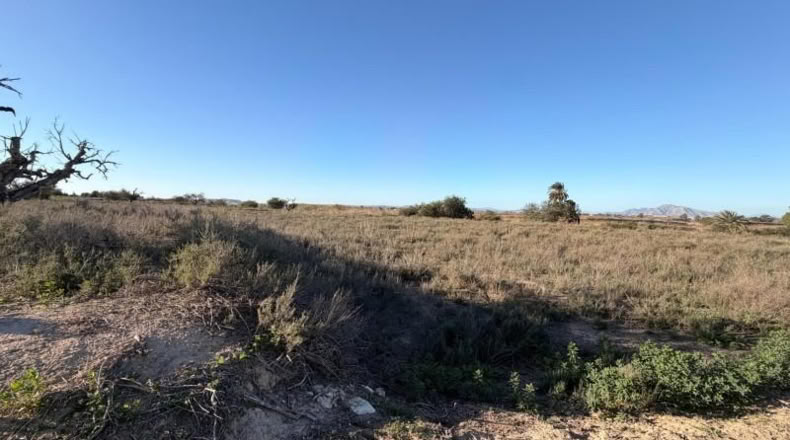 Asturias - La Marina - 25000m2