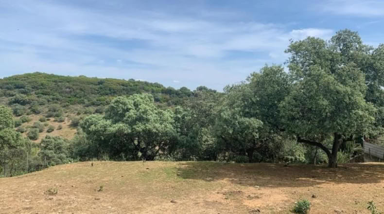 Кордова - Córdoba - 3143m2