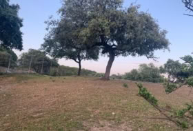 Còrdova 3143&nbsp;m² 