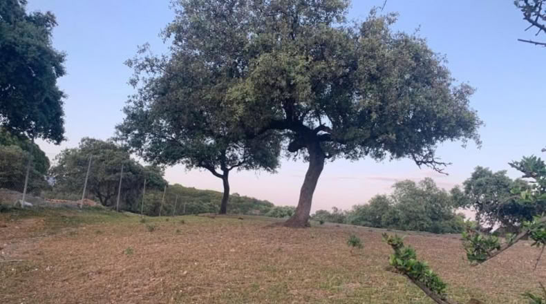 Кордова - Córdoba - 3143m2