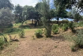 Còrdova 3143&nbsp;m² 