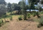 Parcel·la urbanitzable en venda a la España, Còrdova, ref.: TR405688 foto