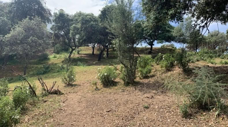 Кордова - Córdoba - 3143m2