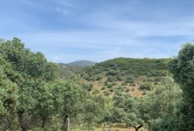 Còrdova 3143&nbsp;m² 