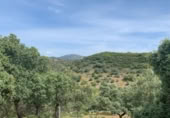 Parcel·la urbanitzable en venda a la España, Còrdova, ref.: TR405688 foto