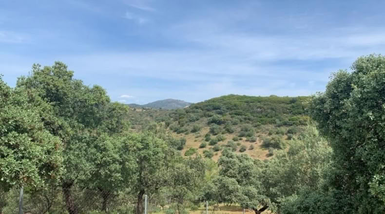 Кордова - Córdoba - 3143m2