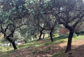 Còrdova 3143&nbsp;m² 